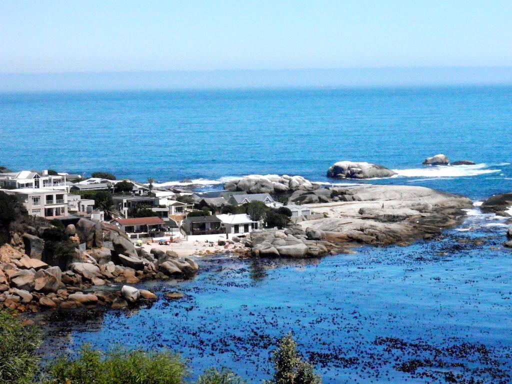 51 On Camps Bay Hotell Kapstaden Exteriör bild